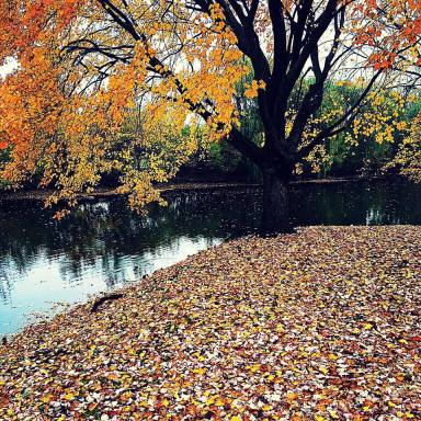 12187706_10207750261333496_6376289443442580804_n